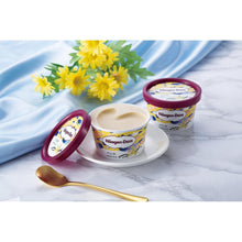 画像をギャラリービューアに読み込む, 【送料込】HD-SPハーゲンダッツ スペシャルセット | Smile collection