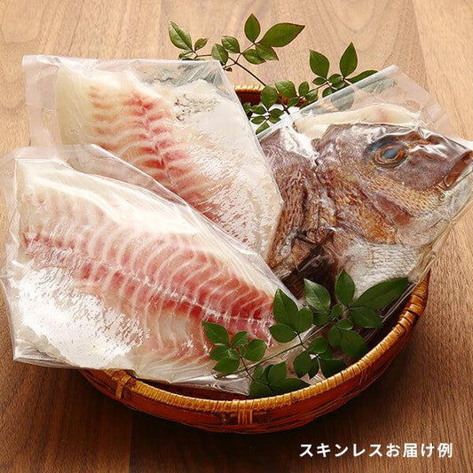 活き〆鯛