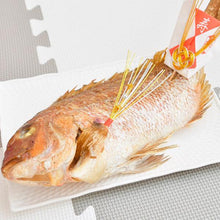 画像をギャラリービューアに読み込む, お食い初め用 真鯛。