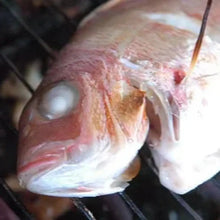 画像をギャラリービューアに読み込む, 塩たい