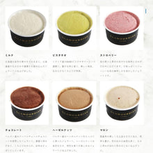 画像をギャラリービューアに読み込む, ジェラート9個セット /「アンサンブル・ドゥ・グラース」 | alacampagne(ア・ラ・カンパーニュ)