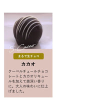 画像をギャラリービューアに読み込む, カカオ