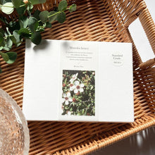 画像をギャラリービューアに読み込む, 【送料無料】無添加マヌカハニースティック MG83+ 30本入 | Better For(ベターフォー)