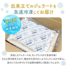 画像をギャラリービューアに読み込む, 梱包