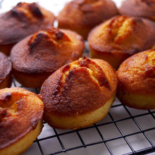 画像をギャラリービューアに読み込む, OIMO フィナンシェ