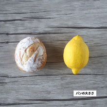 画像をギャラリービューアに読み込む, パン