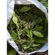 画像をギャラリービューアに読み込む, ジャマイカンスパイス ピメント(オールスパイス)+ジャークシーズニング