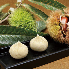 画像をギャラリービューアに読み込む, 栗菓子14個入セット (栗きんとん8個,想い栗6個) | 想い栗