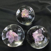 画像をギャラリービューアに読み込む, 季節の丸氷(桜)