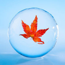 画像をギャラリービューアに読み込む, 季節の丸氷(紅葉)