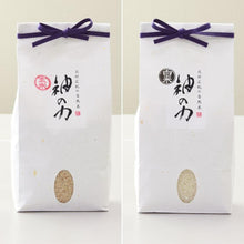 画像をギャラリービューアに読み込む, 研がなくても旨い「神の力」コシヒカリ