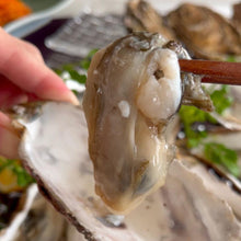 画像をギャラリービューアに読み込む, バラ牡蠣 生食用