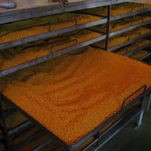 画像をギャラリービューアに読み込む, 製造工程