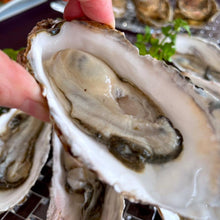 画像をギャラリービューアに読み込む, バラ牡蠣 生食用