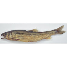 画像をギャラリービューアに読み込む, あゆ