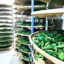 画像をギャラリービューアに読み込む, 武夷岩茶 お試しセット(6種 )