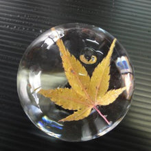 画像をギャラリービューアに読み込む, 季節の丸氷(紅葉)