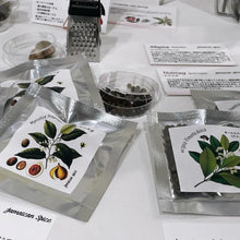 画像をギャラリービューアに読み込む, ジャマイカンスパイス ピメント(オールスパイス)+ジャークシーズニング