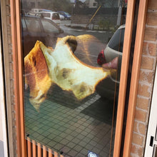 画像をギャラリービューアに読み込む, 食パン