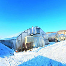 画像をギャラリービューアに読み込む, 農園