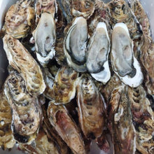 画像をギャラリービューアに読み込む, バラ牡蠣 生食用