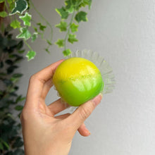 画像をギャラリービューアに読み込む, エメラルドのキウイ
