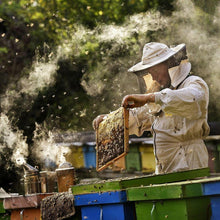 画像をギャラリービューアに読み込む, 【送料無料】無添加マヌカハニースティック MG83+ 30本入 | Better For(ベターフォー)