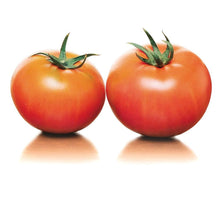 画像をギャラリービューアに読み込む, デリシャストマト