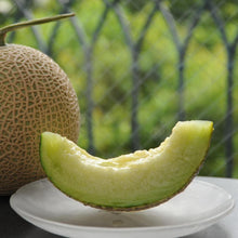 画像をギャラリービューアに読み込む, アールスメロン(マスクメロン) 1玉 | 晴富