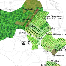 画像をギャラリービューアに読み込む, ラ ヴィア デル コッレ アンバラダン ビアンコ【LA VIA DEL COLLE AMBARADAN BIANCO】自然派白フリッツァンテ