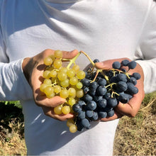 画像をギャラリービューアに読み込む, ラ ヴィア デル コッレ アンバラダン ローザ【LA VIA DEL COLLE AMBARADAN ROSA】自然派ロゼフリッツァンテ