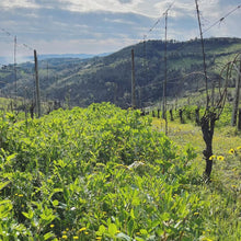 画像をギャラリービューアに読み込む, ラ ヴィア デル コッレ ロピ ビアンコ【LA VIA DEL COLLE LOPI BIANCO】自然派白ワイン