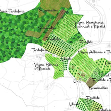 画像をギャラリービューアに読み込む, ラ ヴィア デル コッレ ウルトラ【LA VIA DEL COLLE ULTRA】特別な自然派白ワイン | AUTENTICO ITALIA イタリア逸品市場