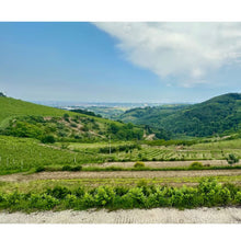 画像をギャラリービューアに読み込む, ラ ヴィア デル コッレ ロピ ロッソ【LA VIA DEL COLLE LOPI ROSSO】自然派赤ワイン