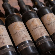 画像をギャラリービューアに読み込む, コンテ アルドブランド レ フォンティッキエ【CONTE ARLDO BRANDO LE FONTICCHIE】白ワイン