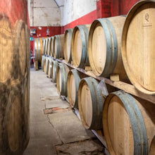 画像をギャラリービューアに読み込む, コンテ アルドブランド レ フォンティッキエ【CONTE ARLDO BRANDO LE FONTICCHIE】白ワイン