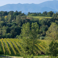 画像をギャラリービューアに読み込む, コンテ アルドブランド キャンティ【CONTE ALDO BRANDO CHIANTI】赤ワイン