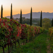 画像をギャラリービューアに読み込む, コンテ アルドブランド キャンティ【CONTE ALDO BRANDO CHIANTI】赤ワイン