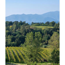 画像をギャラリービューアに読み込む, コンテ アルドブランド バチャマーノ2013【CONTE ALDO BRANDO BACIAMANO 2013】特別なヴィンサント | AUTENTICO ITALIA イタリア逸品市場