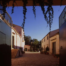 画像をギャラリービューアに読み込む, バリオ ディ グリーシ アリア 2022 【BAGLIO DI GRISI ARIA 2022】BIO白ワイン