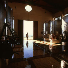 画像をギャラリービューアに読み込む, バリオ ディ グリーシ アリア 2022 【BAGLIO DI GRISI ARIA 2022】BIO白ワイン