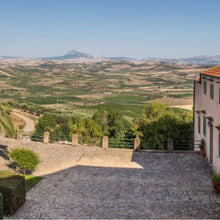 画像をギャラリービューアに読み込む, バリオ ディ グリーシ ヴィオニエ 2022 【BAGLIO DI GRISI VIOGNIER 2022】BIO白ワイン