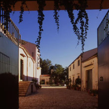 画像をギャラリービューアに読み込む, バリオ ディ グリーシ シラー 2021 【BAGLIO DI GRISI SYRAH 2021】BIO赤ワイン