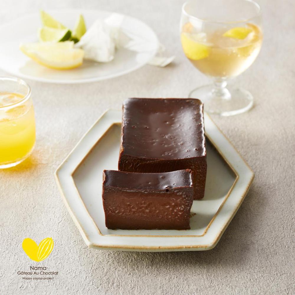 極上の口溶け】幸せの生ガトーショコラ 200g | Nama Gateau Au Chocolat