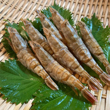 画像をギャラリービューアに読み込む, モサエビ