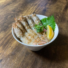 画像をギャラリービューアに読み込む, モサエビ