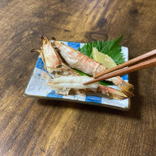 画像をギャラリービューアに読み込む, モサエビ