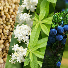 画像をギャラリービューアに読み込む, ムッシュ ジン | APOGEE WINE(アポジェワイン)