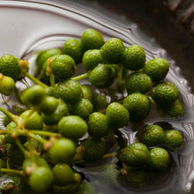 画像をギャラリービューアに読み込む, ニンジャパンチ/山椒胡椒