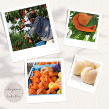 画像をギャラリービューアに読み込む, もも